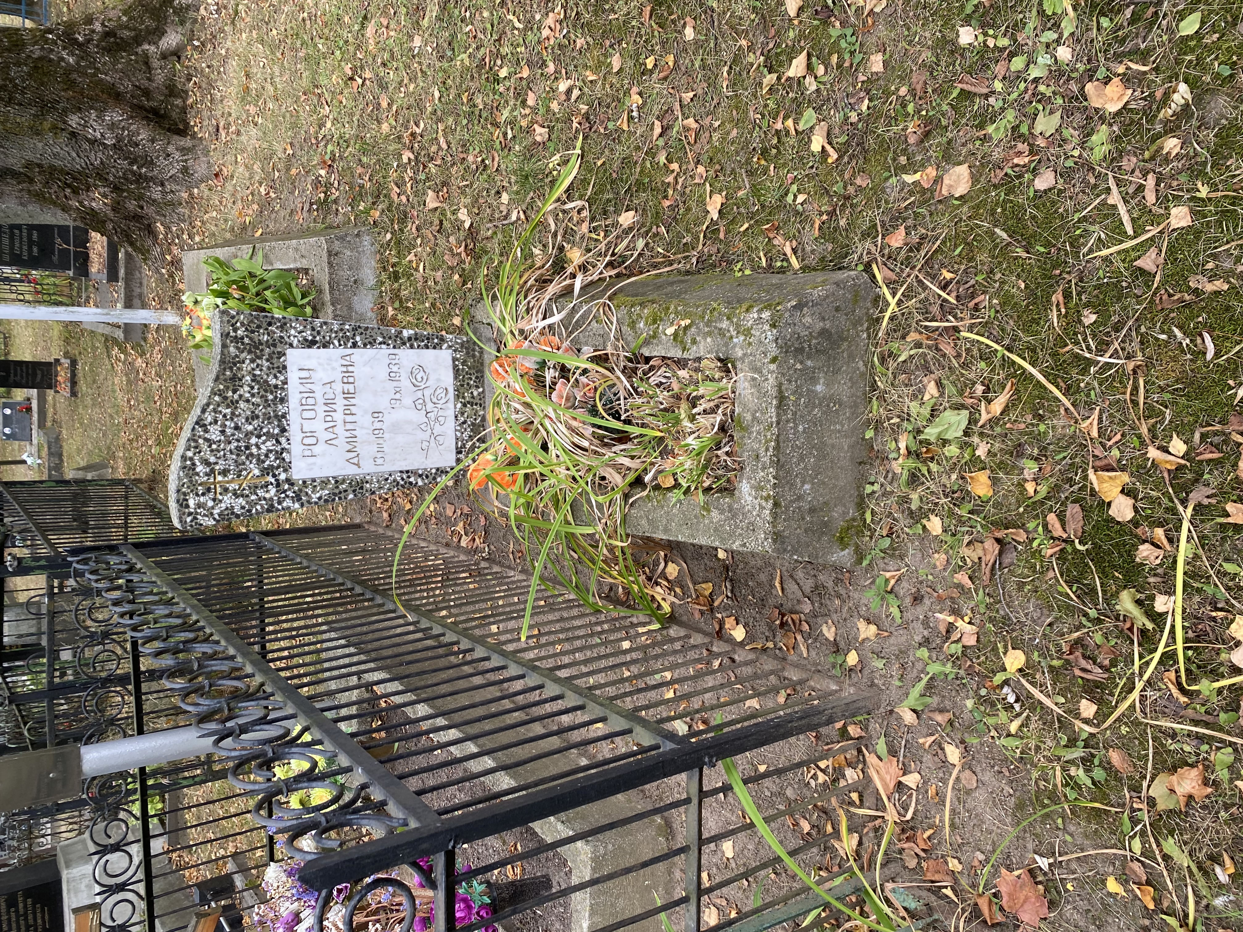 Фотография надгробия